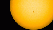 giant-sunspot-ar2192_0.gif