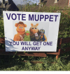 vote-muppet-moon-you-will-get-one-anyway-20237174.png