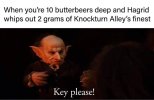person-10-butterbeers-deep-and-hagrid-whips-out-2-grams-knockturn-alleys-finest-key-please.jpeg