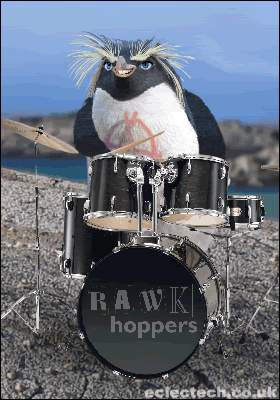 rockhopperrawk-drums.gif