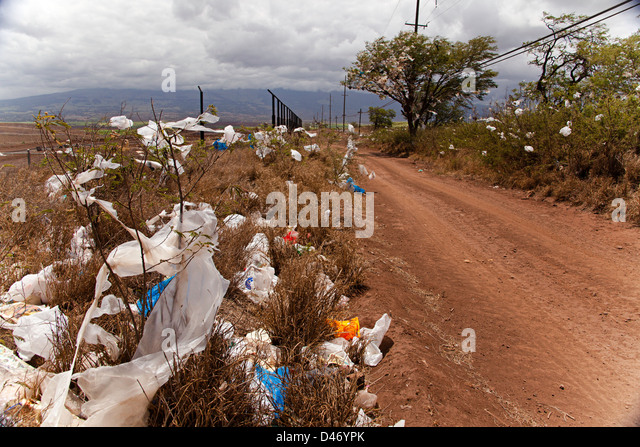 scrubs-and-trees-filled-with-plastic-bags-down-wind-from-a-landfill-d46ypk.jpg