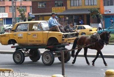 horse-taxi.jpg