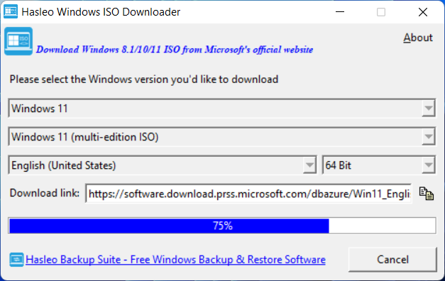 downloading-windows-installation-iso.png